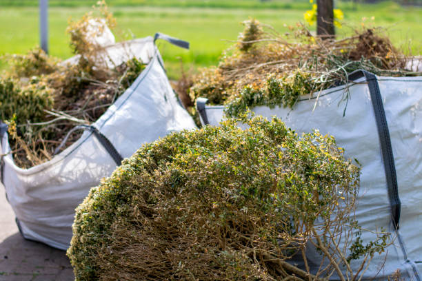 Best Basement Cleanout  in Bourbonnais, IL